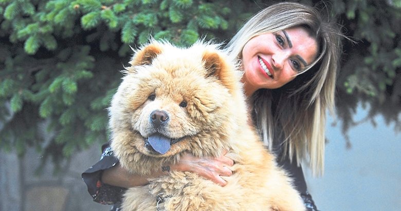 Aslan ‘herkül’ bulundu