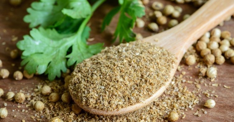 Kişniş otu neye iyi gelir? Kişniş otu nasıl tüketilir?