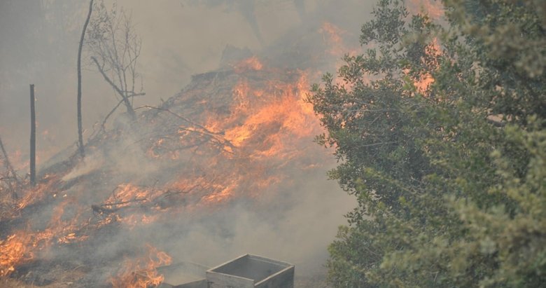 Son dakika: Muğla Datça’da orman yangını! Alevler yerleşim yerlerine ilerledi! İşte bölgeden son durum