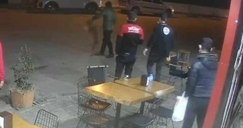 bodrum da pitbull dehseti birden