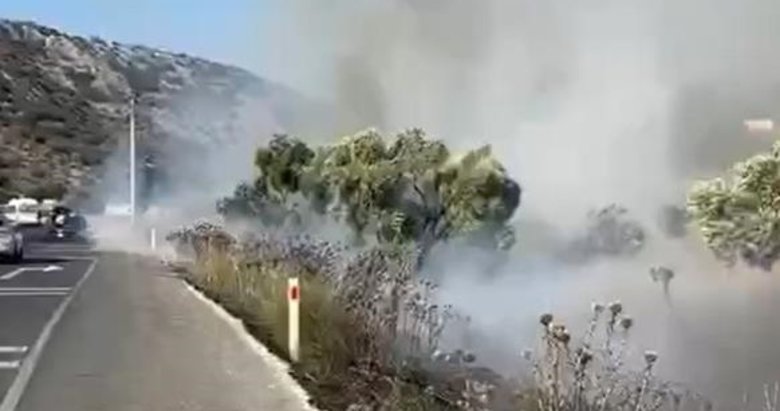 Milas-Bodrum karayolunda yangın