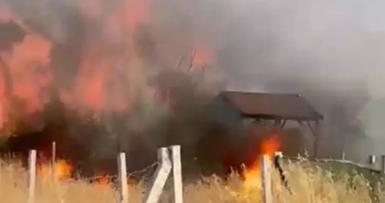 İzmir’de tarım arazisindeki yangında 8 ev zarar gördü