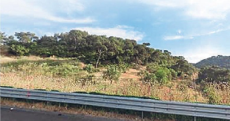 Aliağa’da kazdıkça tarih çıkıyor