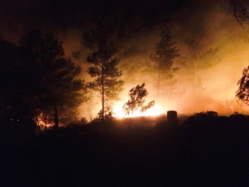 Muğla’da 2 dönüm orman ve 25 dönüm sazlık alan yandı
