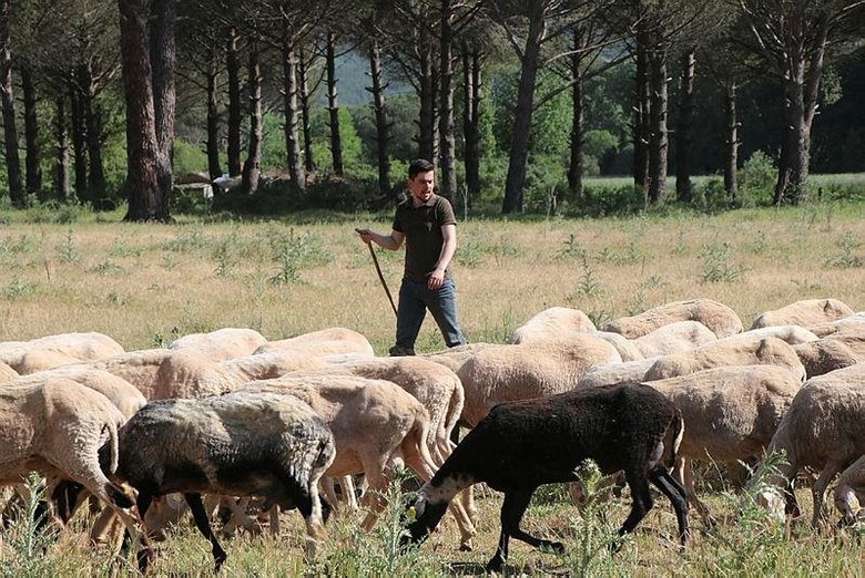 Genç mühendis İzmir’de devlet desteğiyle hayali olan çiftliğini kurdu