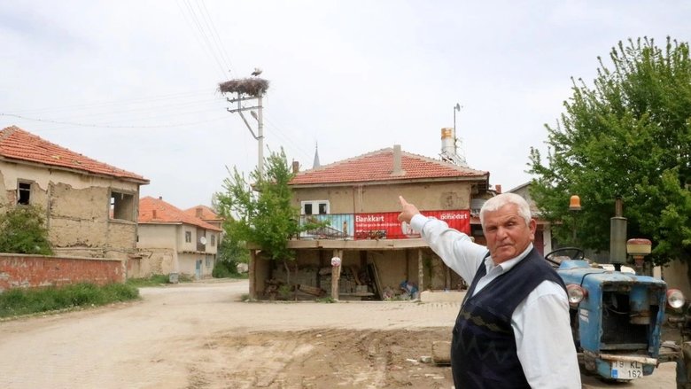 Afyon’daki bu direk 17 yıldır leyleklerin yuvası