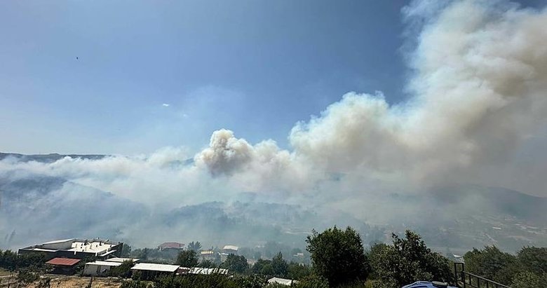 İzmir Bornova’da orman yangını 21 saatte kontrol altına alındı