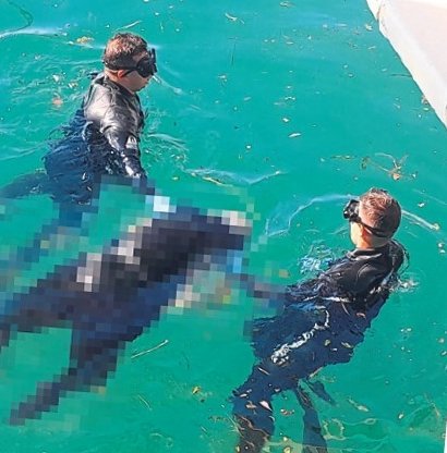 Engelli adam kendini iskeleden denize bıraktı