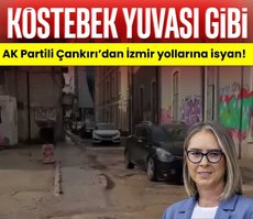 AK Partili Çankırı’dan İzmir yollarına isyan!