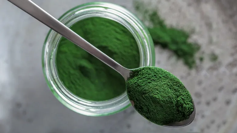 spirulina-zayiflatiyor-mu-1787430662312.png