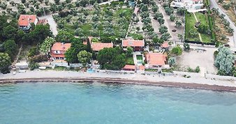 Masum değilsiniz hiçbiriniz!