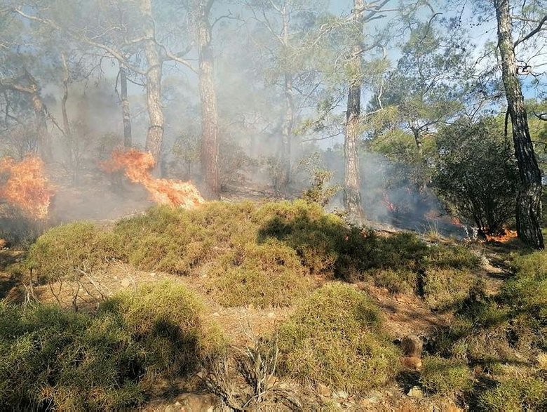 Muğla’da çıkan orman yangınını jandarma ve vatandaşlar söndürdü