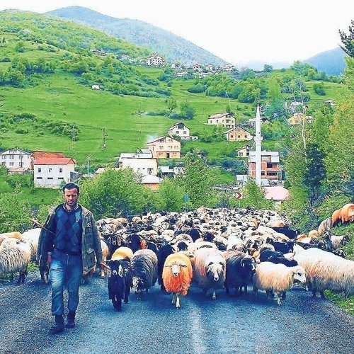 Bayram tatilini doğanın sakinliğinde değerlendirmek isteyenler için rotalar