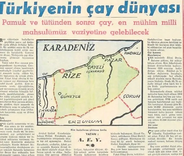 dunya-turk-cayini-demliyor-iste-dunyanin-en-iyi-caylari-1793394617426.jpeg