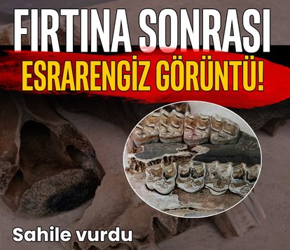 Aydın Kuşadası sahilinden tarih fışkırdı