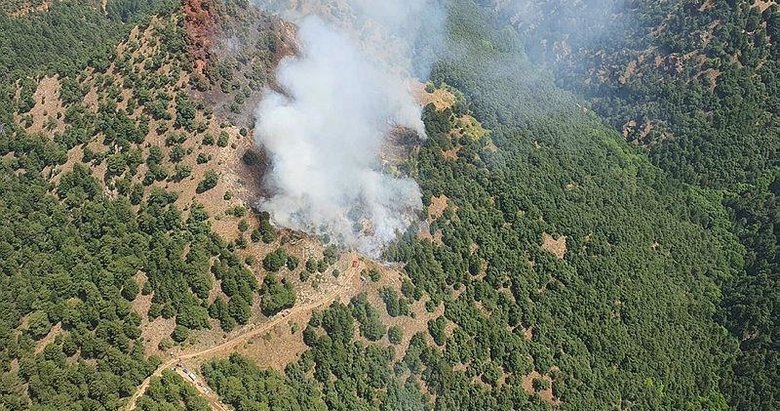 Manisa Alaşehir’de orman yangını