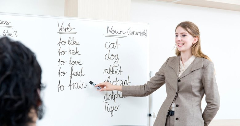 MEB il dışı atama sonuçları sorgulama ekranı...