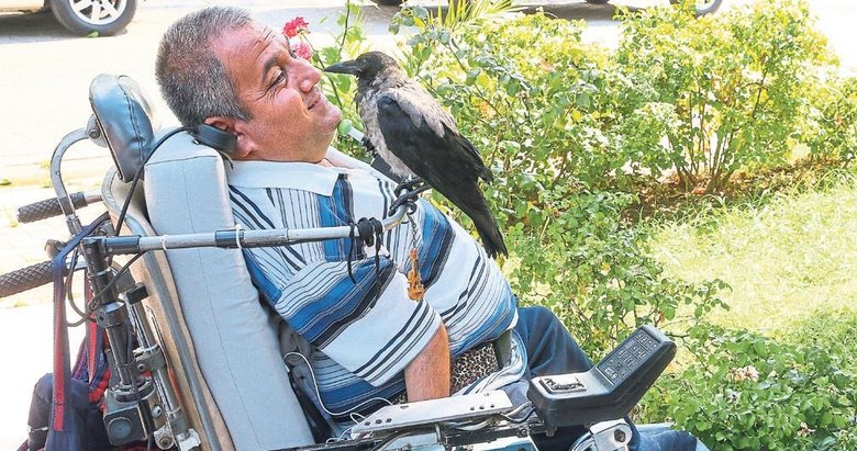 Tedavi ettiği karga Şakir en yakın arkadaşı oldu