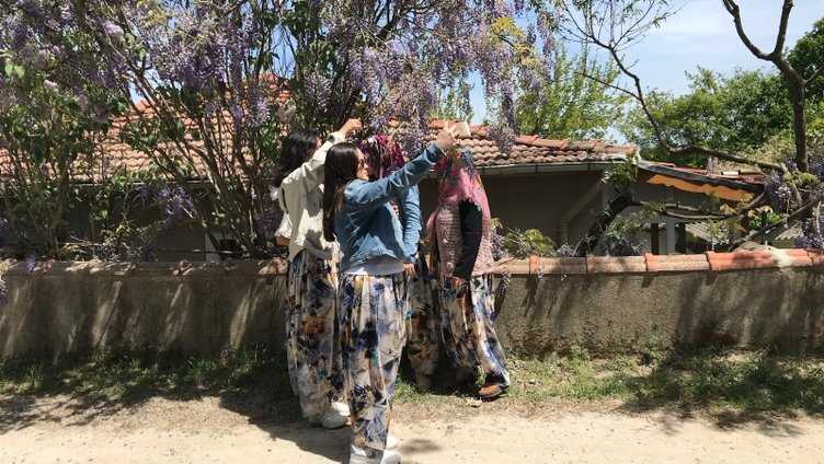 Çanakkale’de ilginç gelenek! Aşıklar Sokağı’nda kısmetlerini aradılar