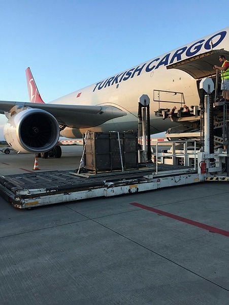 Turkish Cargo, Sevgililer Günü için 4 bin ton çiçek taşıdı