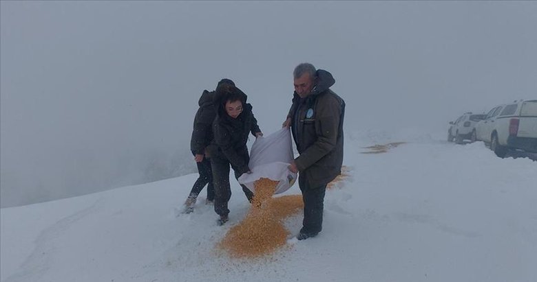 Muğla’da yaban hayvanları için doğaya yem bırakıldı