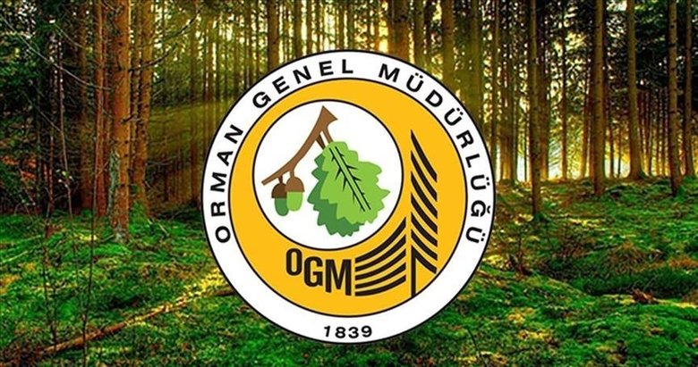Orman Genel Müdürlüğü 252 daimi işçi istihdam edecek