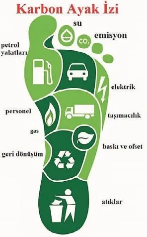 Her tercihin bir karbon bedeli var
