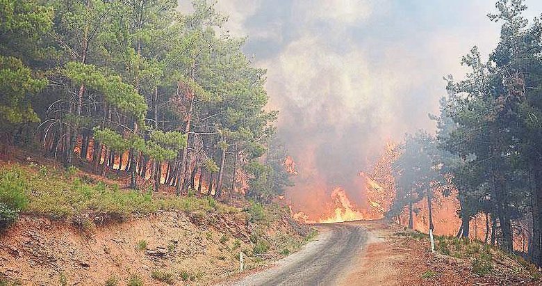 İzmir ve Manisa için yangın raporu