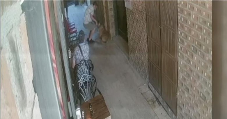 Denizli’de sahipsiz köpek dehşeti! Yürüyen adamın üzerine saldırdı