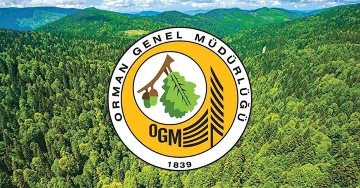 ORMAN GENEL MÜDÜRLÜĞÜ PERSONEL ALIM BAŞVURU EKRANI! Başvuru şartları ...