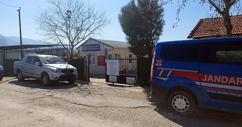 İzmir’in o ilçesinde tepki çeken görüntü! Barınaktaki 10 köpek ölü bulundu