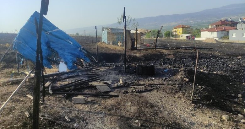 Alevlerin sardığı kümesteki tavukları kurtarmaya çalışan kadın yandı