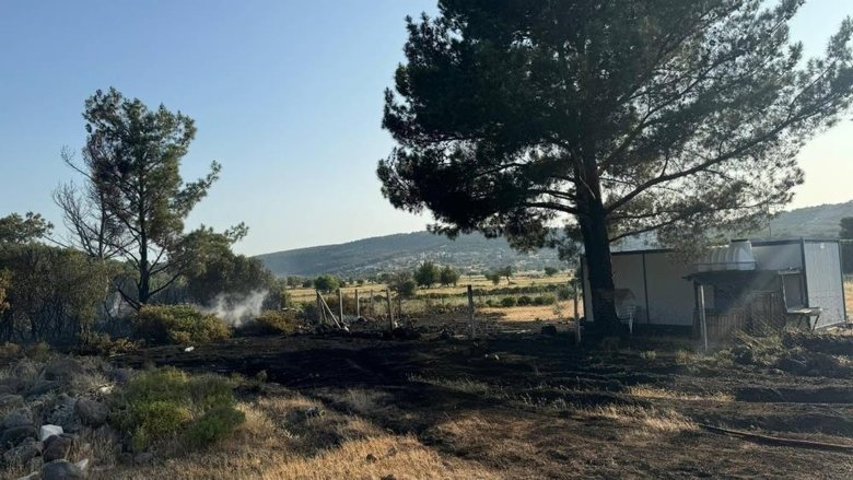 İzmir’de mangalla orman yangınına neden olan şahıs tutuklandı