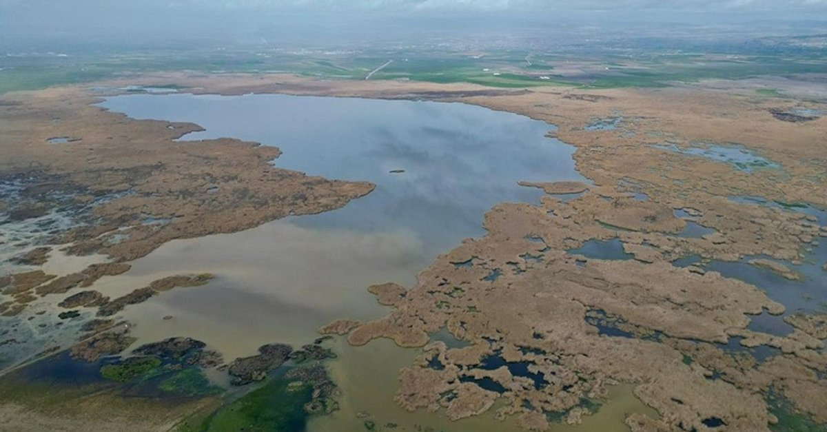 Adacıklar kayboldu, kayıklar yüzdü! Eber Gölü'nde şaşırtan dönüşüm