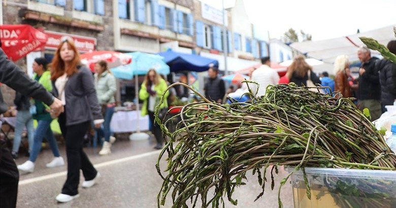 Bodrum’da düzenlenen Acı Ot Festivali’nde renkli anlar