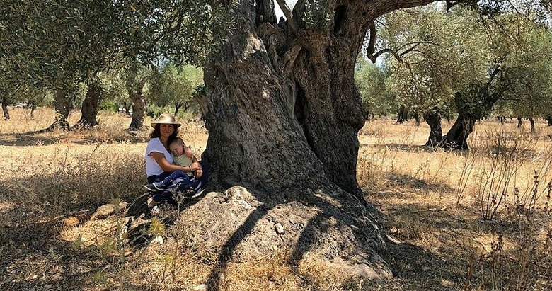 Hobi için aldığı tarlada buldu! Tam 3200 yıllık...