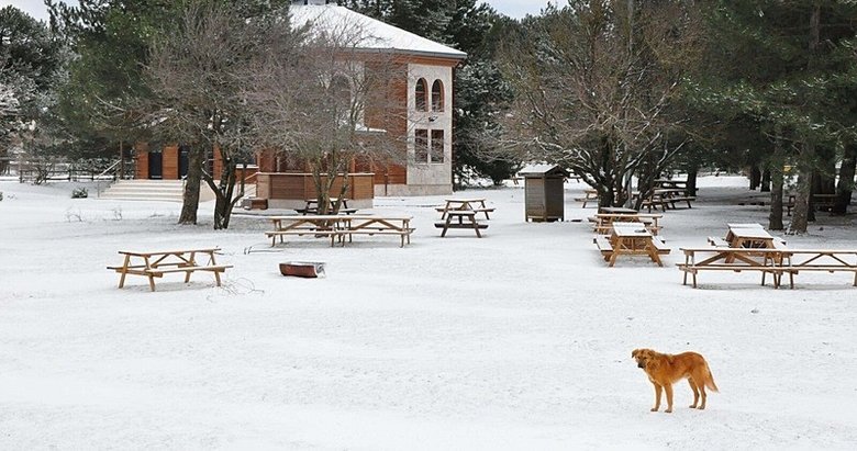 Spil Dağı beyaza büründü