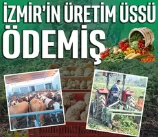İzmir’in üretim üssü Ödemiş