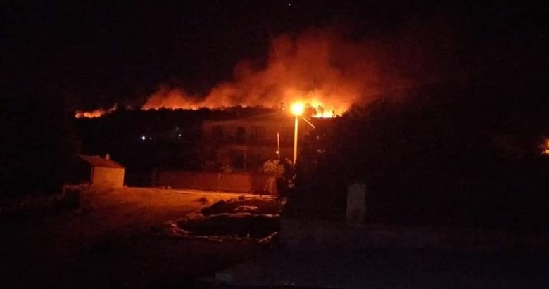 İzmir Tire’deki orman yangını söndürüldü