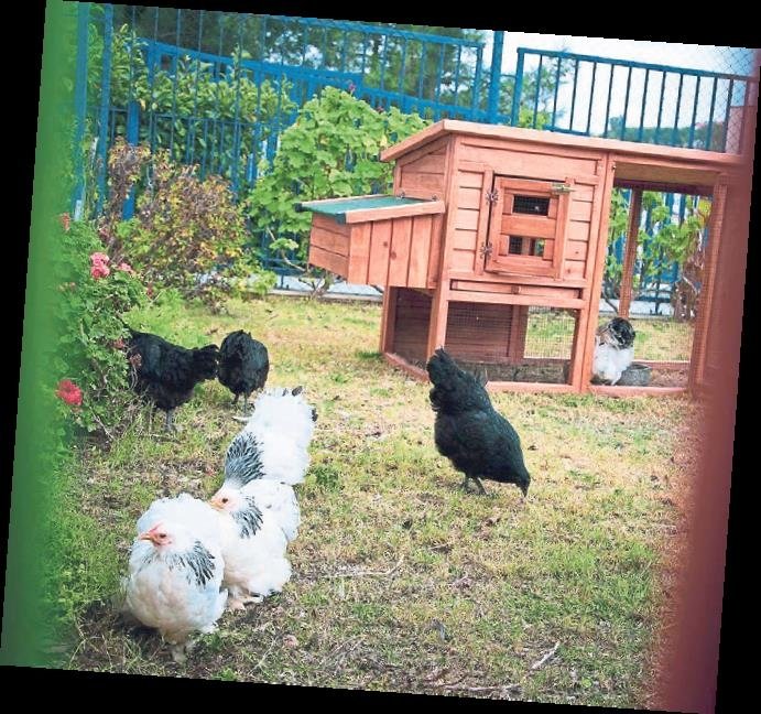 TED İzmir Koleji: Özgüvenli ve yaratıcı bireyler yetiştirmek için çalışıyoruz