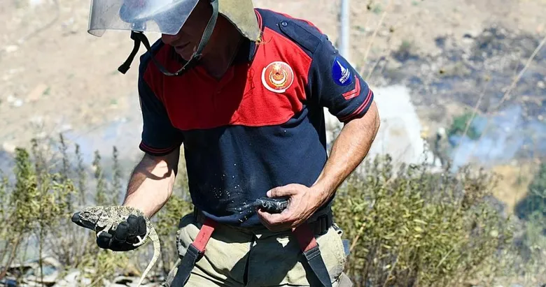 İzmir’deki yangında yürekleri ısıtan görüntü: Dumandan etkilenen bukalemunu hayata döndürdü