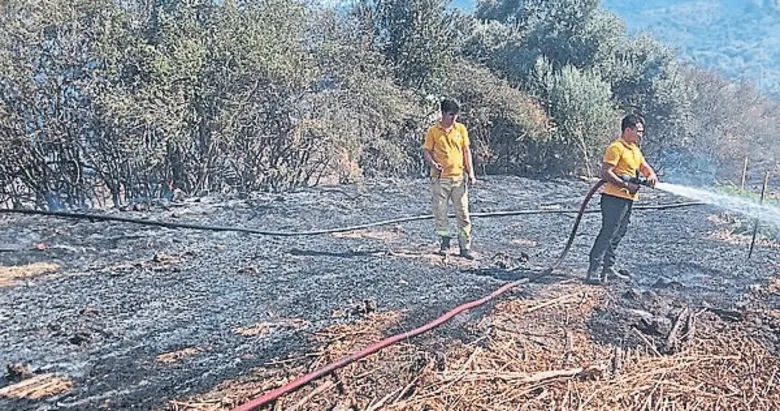 Milas’ta tarım arazisinde çıkan yangın söndürüldü