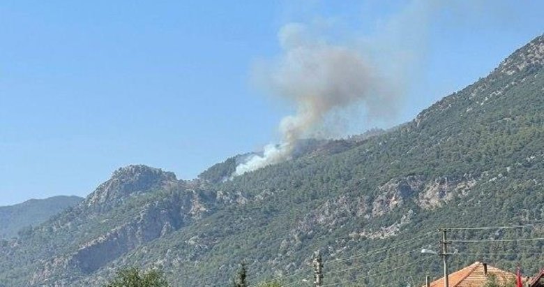 Yangın kabusu Ege'de! Köyceğiz de yanıyor
