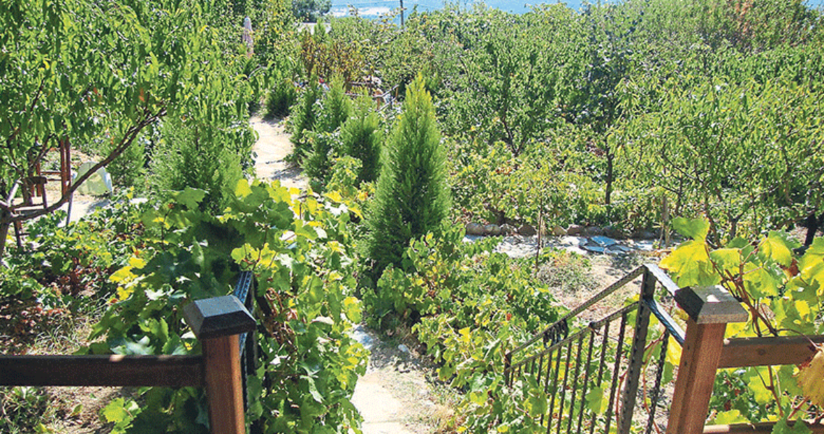 Izmir De Doganin Icinde Bir Hafta Sonu Cicekli Ve Yakakoy Cumartesi Haberleri