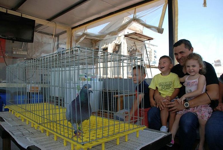 Şampiyon güvercin Bold Pilot Erzincan’dan İzmir’e 14 saat 37 dakikada uçtu