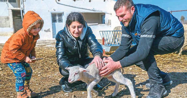 Köyüne dönerek hayvancılığa başladı