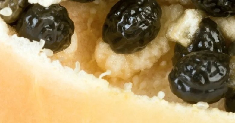 Bu besinle yıllara meydan okuyun! İçerdiği yüksek kolajenle yaşlanmayı durduruyor...