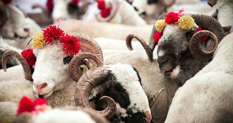 Kurban Bayramı ne zaman? 2022 Kurban Bayramı tarihi...