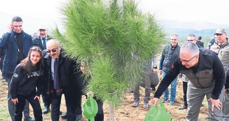 Depremde ölenler anısına hatıra ormanı oluşturuldu