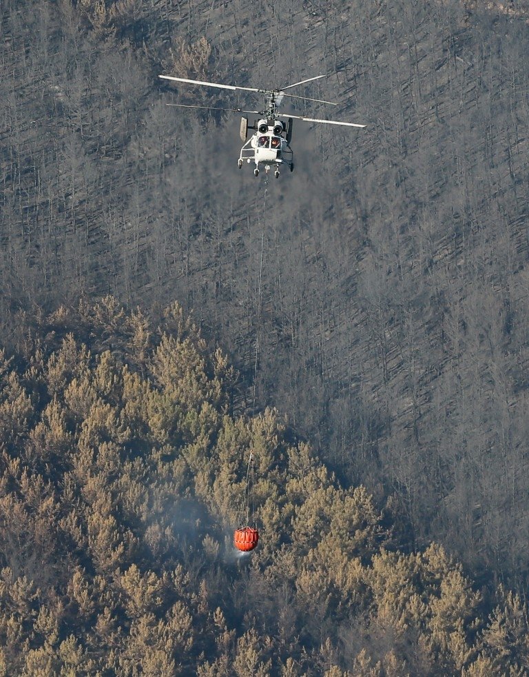 Orman yangınları ile ilgili iddialar ve gerçekler